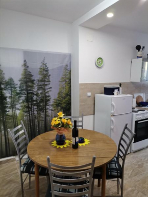 Apartman Simba